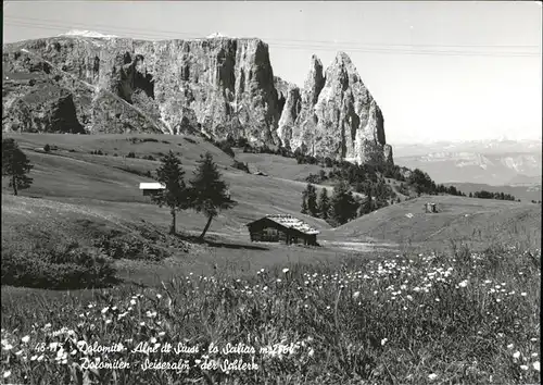 Dolomiti Wiese Huette Kat. Italien