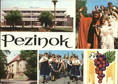 Pezinok Hotel Grand Zamok Vinobranie Trachten Weintraube