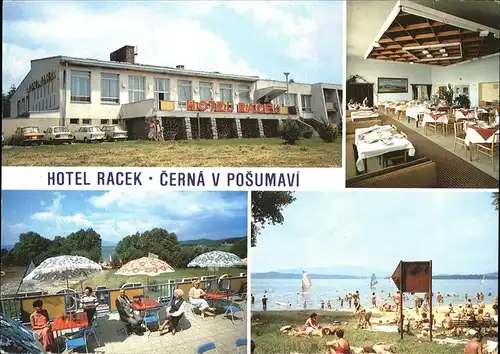 Cerna v Posumavi Hotel Racek Restaurant Terrasse Strand Lipno Stausee