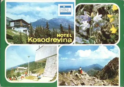 Brezno Hotel Kosodrevina Nizke Tatry Berghotel Niedere Tatra