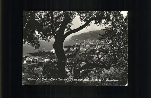 Diano Marina Panorama dagli uliveti di S. Bartolomeo Riviera dei fiori Kat. Italien