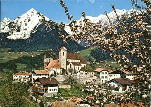 Schenna Meran Ortsansicht mit Alpenpanorama Kat. Italien