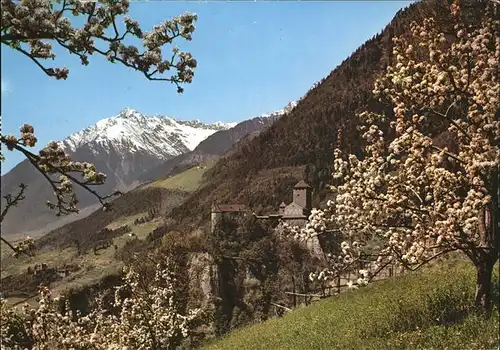 Meran Schloss Tirol mit Zielspitze Kat. Italien