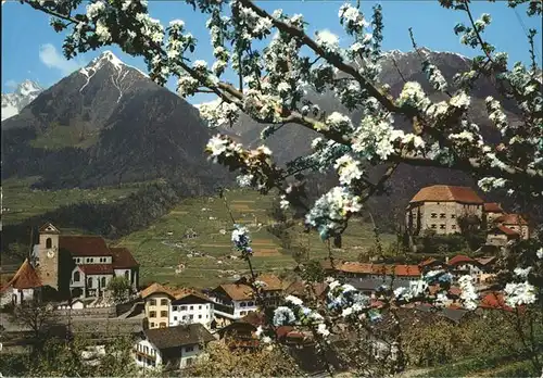 Schenna Meran Panorama / Italien /Bozen