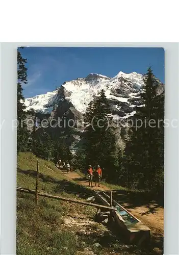 Wengen BE Mettlenalpweg mit Jungfrau Berner Alpen Bergwandern Kat. Wengen