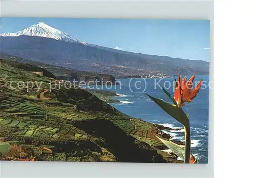 Tenerife Zona Norte con el Teide Volcan Vulkan Kat. Islas Canarias Spanien