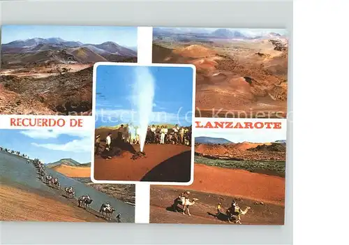 Lanzarote Kanarische Inseln Isla de los Volcanes Vulkan Kamel Kat. 