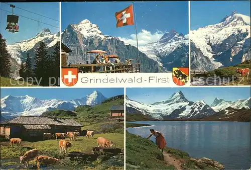 Grindelwald  Kat. Grindelwald