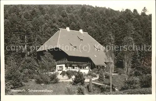 Herrenalb Schwarzwaldhaus