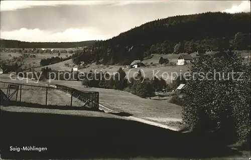 Muehlingen Saig Schwarzwald Panorama