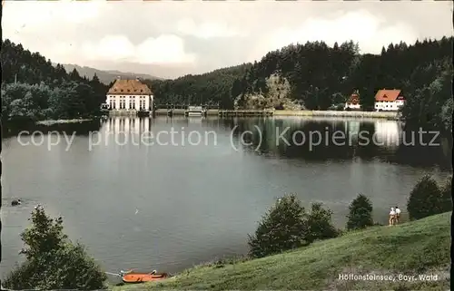 Hoellensteinsee Seepartie Kat. Viechtach