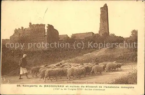 Mansourah Remparts et ruines du Minaret de l ancienne mosquee Kat. Algerien