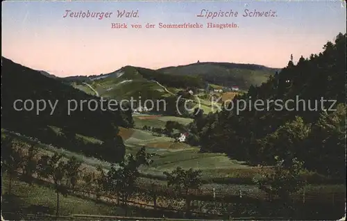 kk75367 Teutoburgerwald Lippische Schweiz Kategorie. Detmold Alte Ansichtskarten