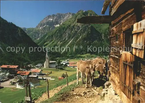 Mittelberg Kleinwalsertal Ortsansicht mit Kirche Widderstein Berghof Kuehe Kat. Oesterreich