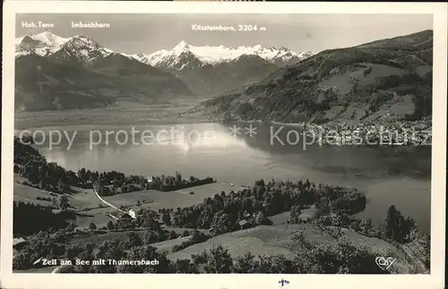 Zell See Panorama See Thumerbach / Zell am See /Pinzgau-Pongau