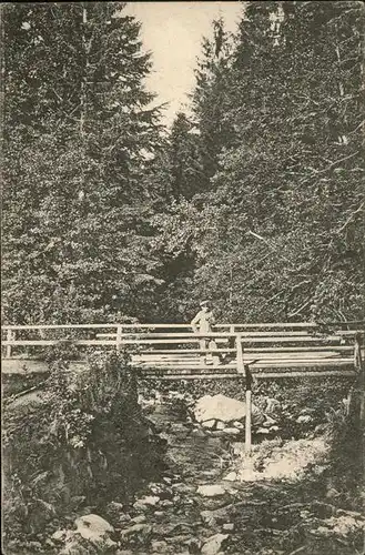 Bad Flinsberg Swieradow Zdroj Im Steinbachtal am Maedelsteg Isergebirge Feldpost /  /