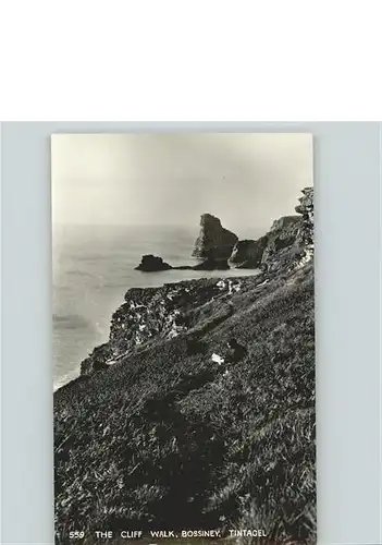 Tintagel The cliff walk Bossiney