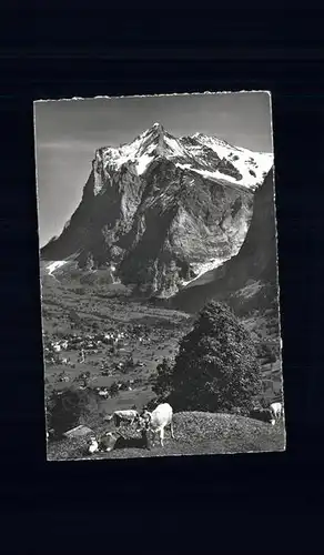 Grindelwald mit Wetterhorn Alm Kuh Kat. Grindelwald