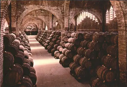 Spanien Ein Weinkeller Spanisches National Denkmal Kat. Spanien