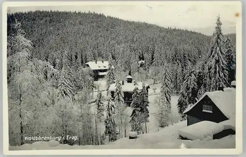 Altenberg Erzgebirge Waldbaerenburg  