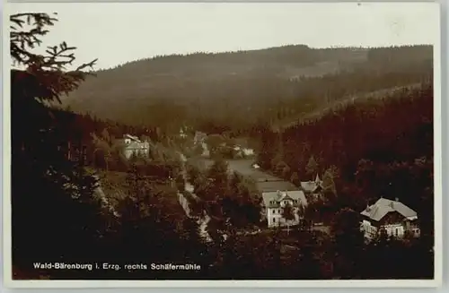 Altenberg Erzgebirge Waldbaerenburg  