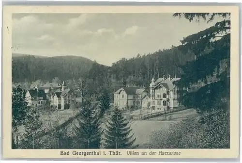 Georgenthal Villen Harzwiese x