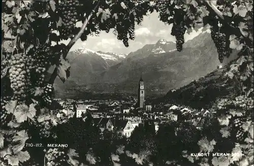 Meran Kurort Weintrauben / Italien /