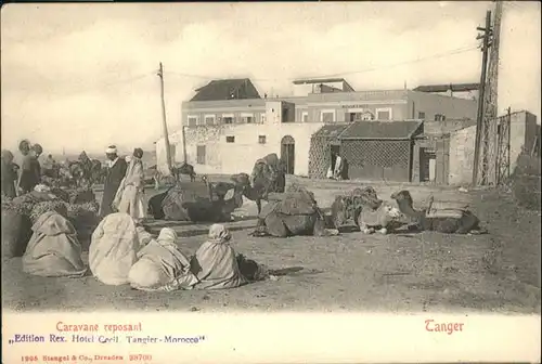 Tanger Caravane reposant Kamel / Marokko /