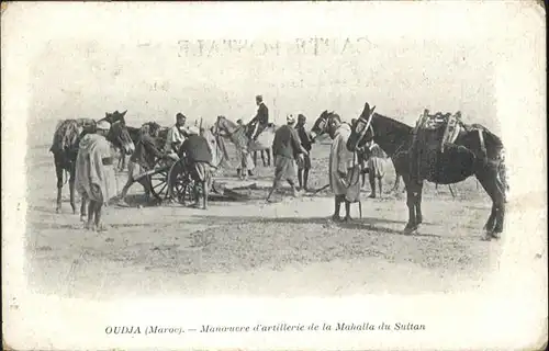 Oudja Mahalla du Sultan Pferd / Marokko /