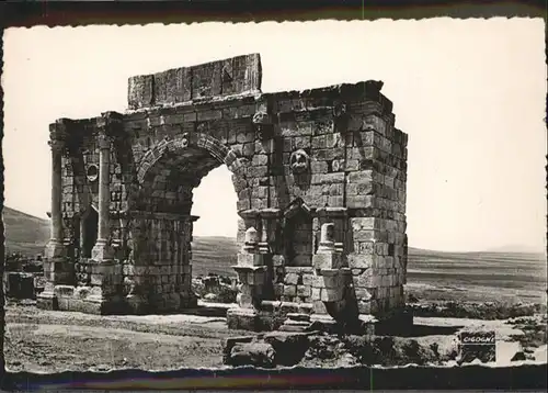 Volubilis Arc de Triomphe Triumphbogen / Marokko /