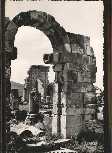 Volubilis Porte Est de la Basilique  / Marokko /