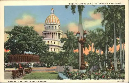 Habana Havana Fraternity Tree Capitol / Havana /