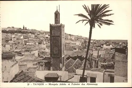 Tanger Mosquee Jedida Palmier Aissaouas / Marokko /