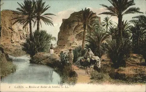 Gabes River Schella Pferd / Tunesien /