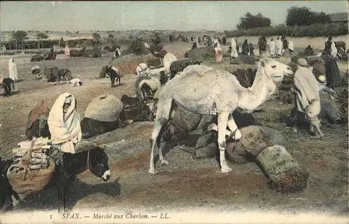 Sfax Kamel Marche Charbon Esel / Tunesien /