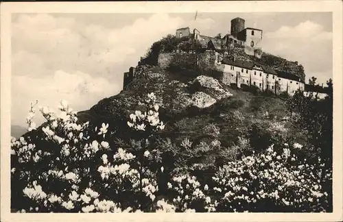 Hrad Strekov Burg / Tschechische Republik /