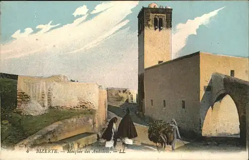Bizerte Mosquee des Andalous Esel / Tunesien /