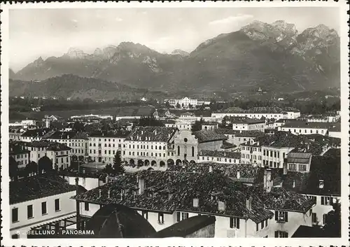 Belluno-Victoria Italien Panorama /  /