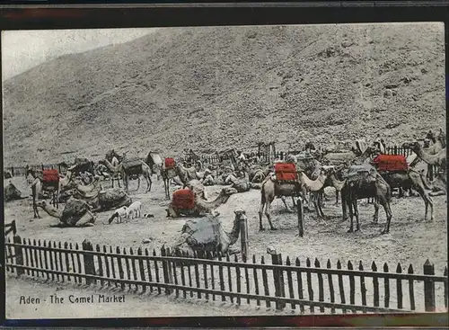 Aden Camel Market / Jemen /