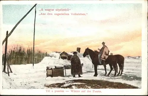 Ungarn Pferd Winter Puszta /  /