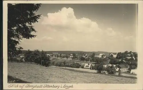 Altenberg Erzgebirge  / Geising /Saechsische Schweiz-Osterzgebirge LKR