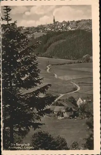 Altenberg Erzgebirge  / Geising /Saechsische Schweiz-Osterzgebirge LKR