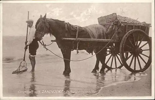 Zandvoort Schelpenvisscher x