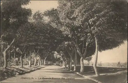 Ismailia Grande Avenue Jardins *