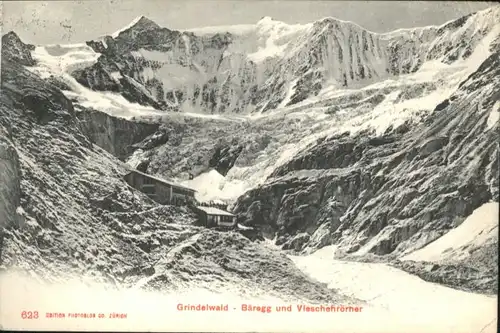 Grindelwald Baeregg Viescherhoerner x