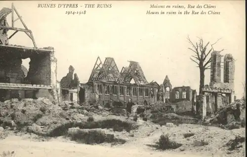 Ypres Maison Rue Chiens Ruines Zerstoerung *