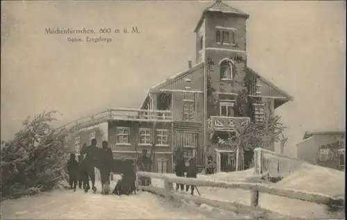 Mueckentuermchen Mueckentuermchen Erzgebirge Ski Schlitten Winter * / Krupka /Teplice