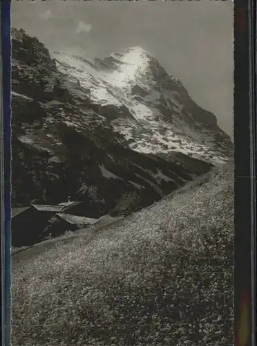 Grindelwald Eiger *