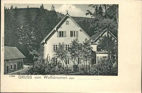 Wolfsbrunnen Seebach Schwarzwald Kat. Ottenhoefen im Schwarzwald