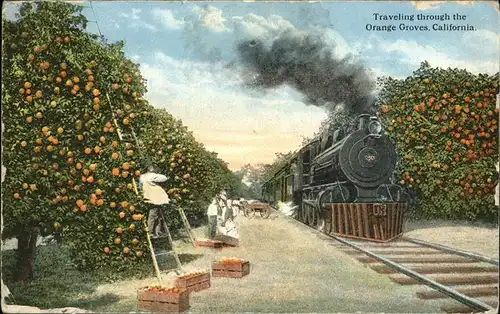 Orange Groves California, Eisenbahn / USA /